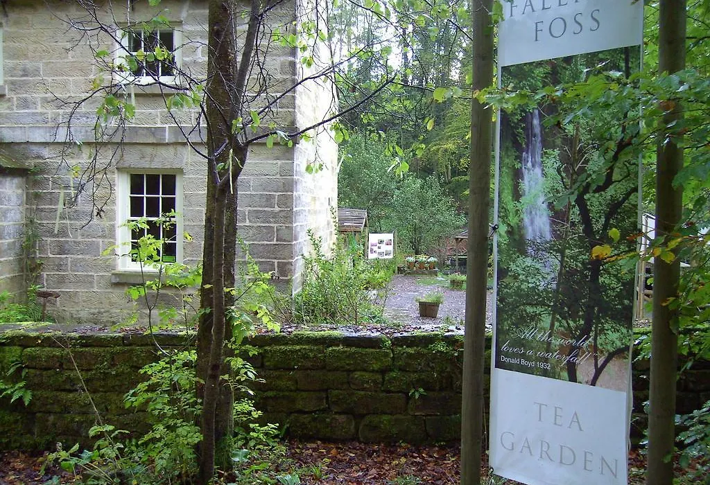 Thorpe Green House Vegetarian Bed & Breakfast-1
