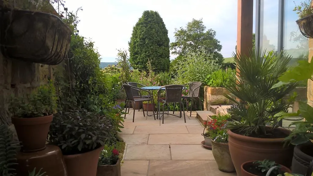 Thorpe Green House Vegetarian Bed & Breakfast-1
